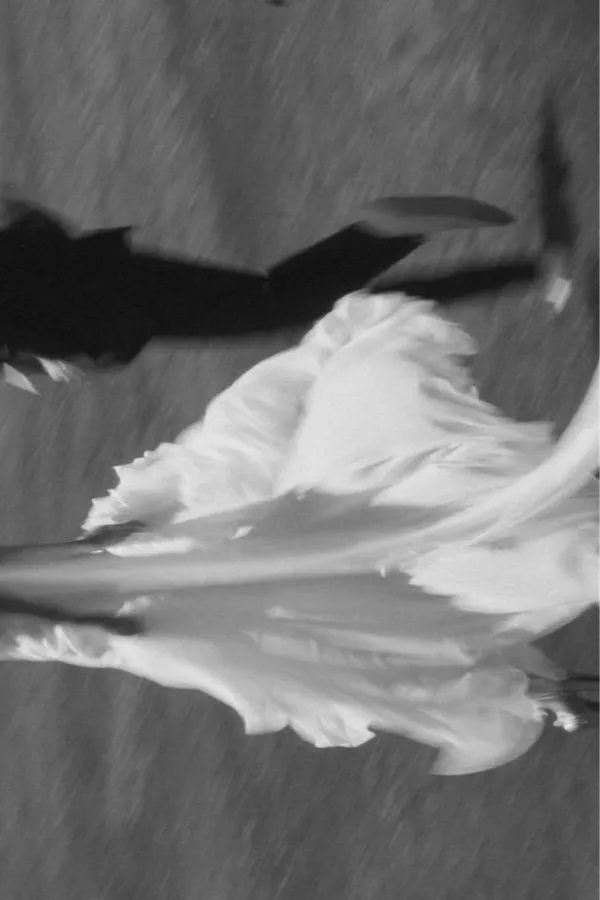 A bride's gown caught mid-twirl in motion